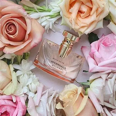 Bvlgari Splendida Rose Ladies EDP 100ml - Image 4