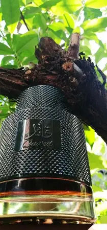 Lattafa Qaa’ed Al Shabaab Men 100ml - Image 4