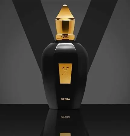 Xerjoff Opera Unisex EDP 100ml - Image 4