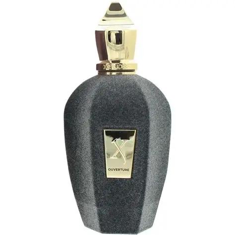 Xerjoff Ouverture Unisex EDP 100ml - Image 2