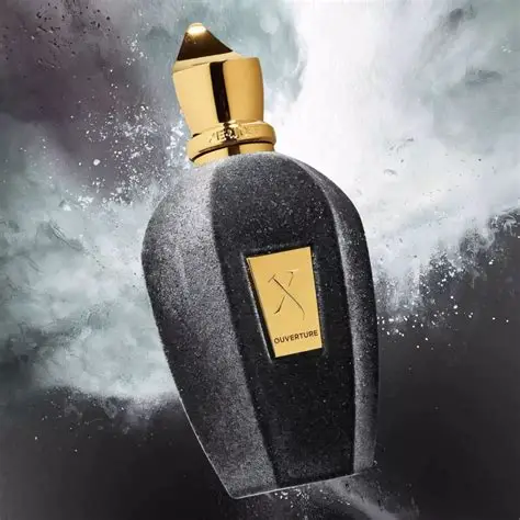 Xerjoff Ouverture Unisex EDP 100ml - Image 3
