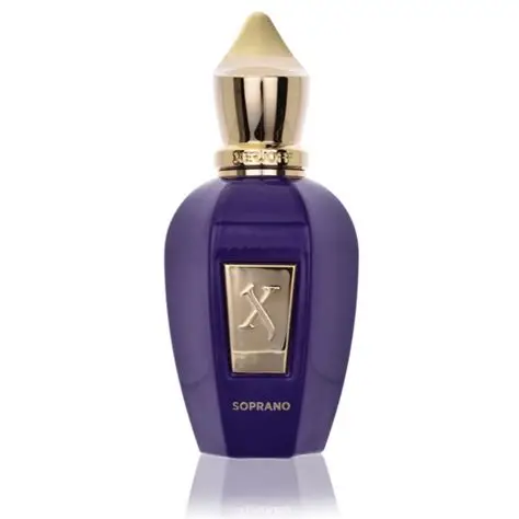 Xerjoff Soprano Unisex EDP 100ml - Image 2