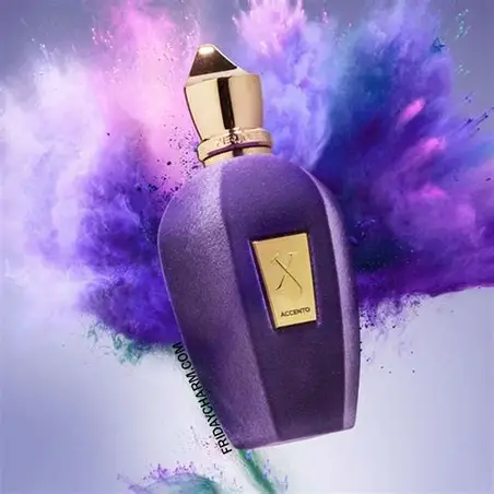 Xerjoff Soprano Unisex EDP 100ml - Image 3
