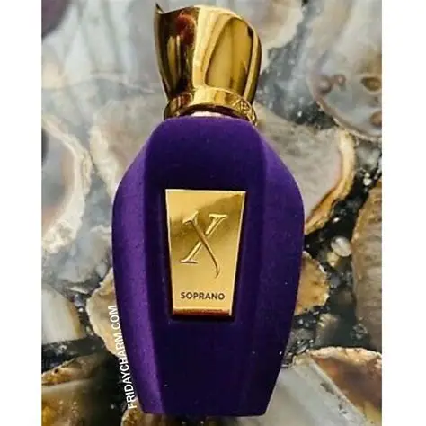 Xerjoff Soprano Unisex EDP 100ml - Image 4