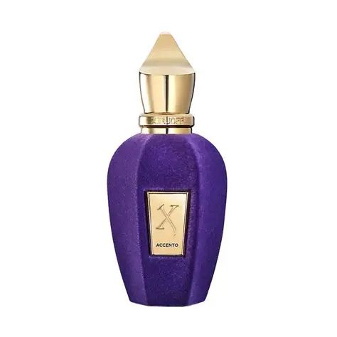 Xerjoff Accento Unisex EDP 100ml - Image 2