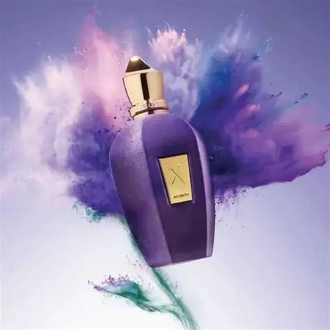Xerjoff Accento Unisex EDP 100ml - Image 3