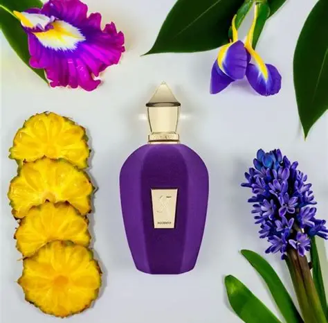 Xerjoff Accento Unisex EDP 100ml - Image 4