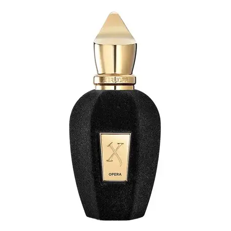 Xerjoff Opera Unisex EDP 100ml - Image 2