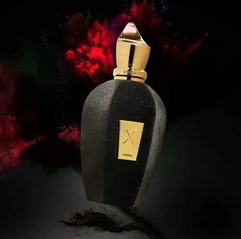 Xerjoff Opera Unisex EDP 100ml - Image 3