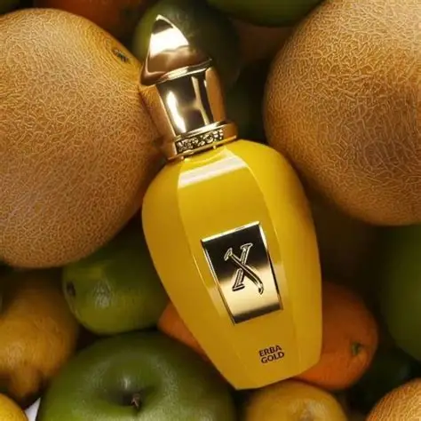 Xerjoff Ebra Gold Unisex EDP 100ml - Image 3